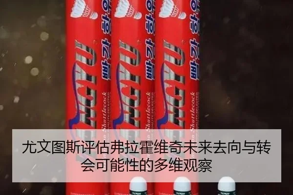 尤文图斯评估弗拉霍维奇未来去向与转会可能性的多维观察