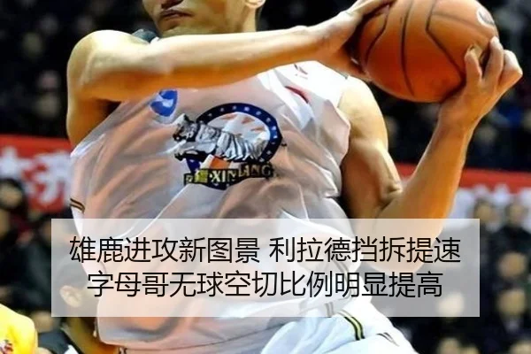 雄鹿进攻新图景 利拉德挡拆提速 字母哥无球空切比例明显提高